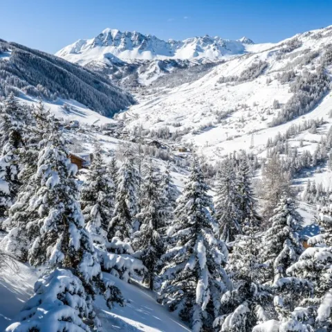 142-galerie-visuel-montagne-neige-hiver-vars-foret-hautes-alpes-france-odel-evasion-les-carlines-jpg-800x532